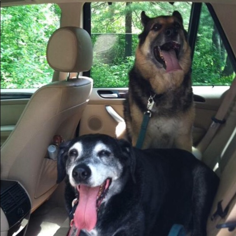 Meet your Posher, Barbara